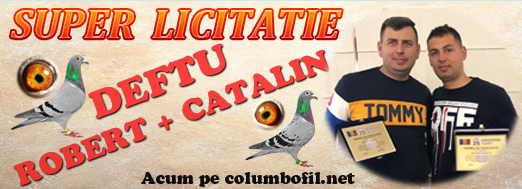 https://www.columbofil.net/index.php?act=licitatii&id=2225